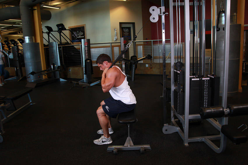 Cable Seated Crunch