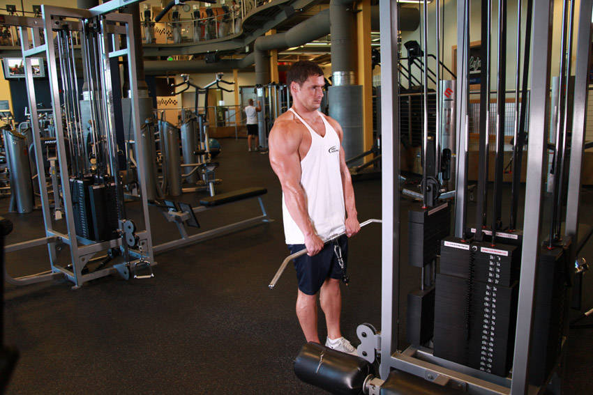 Cable Shrugs
