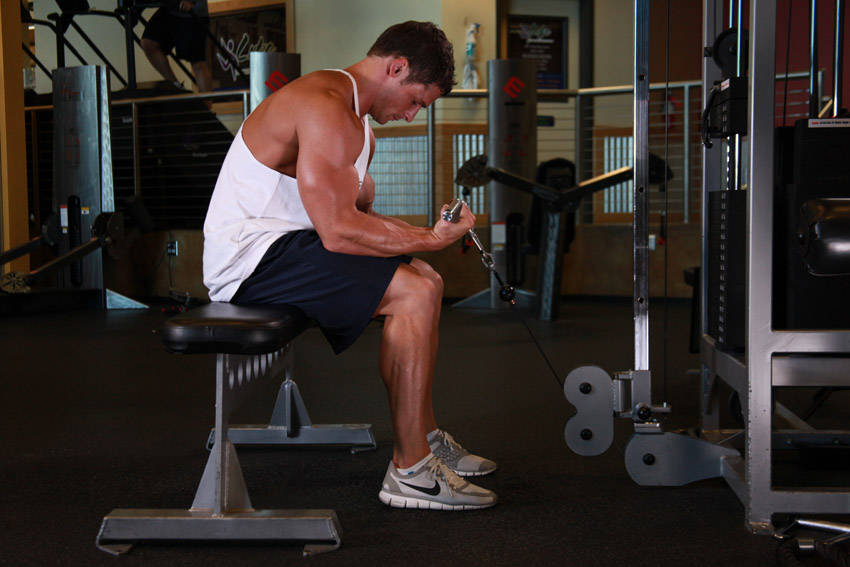 Cable Wrist Curl