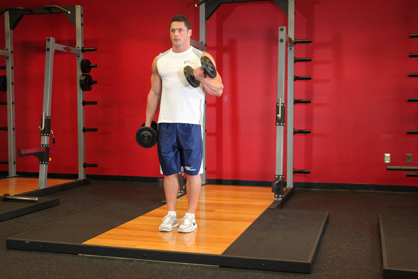 Dumbbell Alternate Bicep Curl