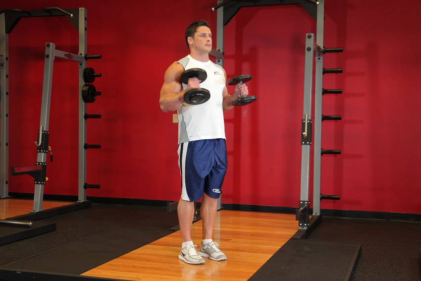 Hammer Curls