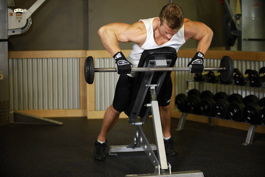 Incline Bench Pull