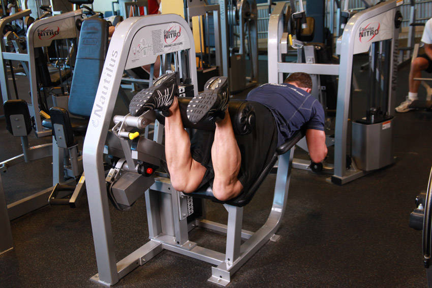 Lying Leg Curls