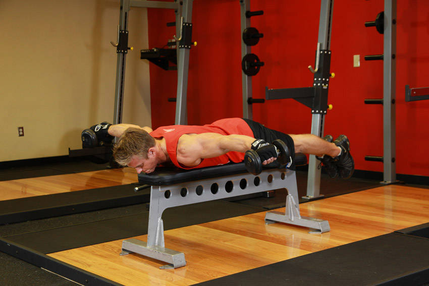 Lying Rear Delt Raise