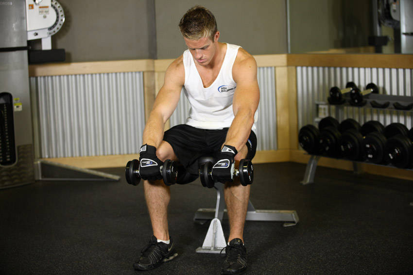 Seated Dumbbell Palms-Down Wrist Curl