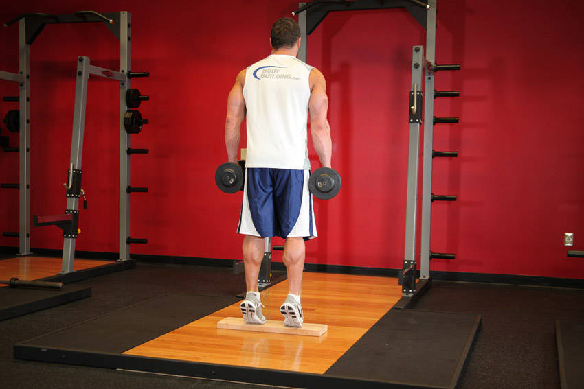 Standing Dumbbell Calf Raise