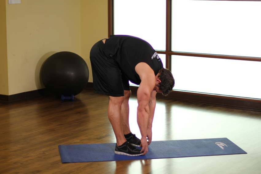 Standing Toe Touches